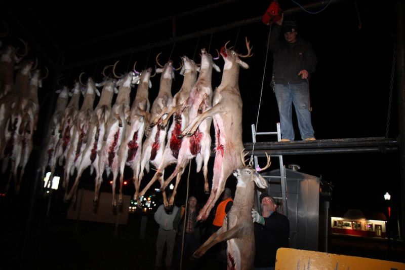 20161116 mancelona 62th buck pole 2016