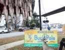 20241115 70th buck pole